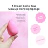 AOA Studio Collection makeup Sponge Set Latex Free and High-definition Set of 6 makeup Wonder blender For Powder Cream and Liquid, Super Soft Wonder Beauty Cosmetic - Image 4